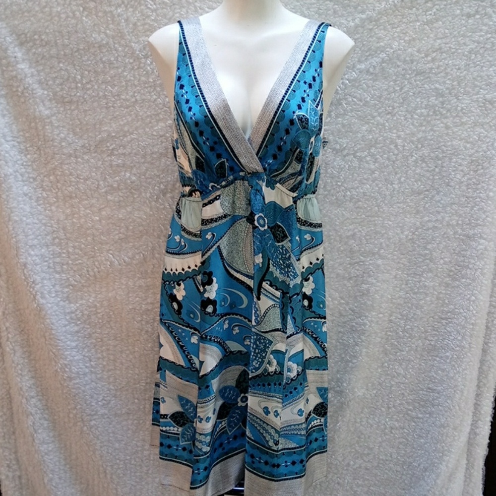 Single dress Paisley 100%Silk dress